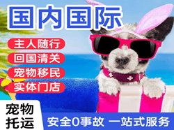 临沧博尚航空快运国际宠物托运 【国